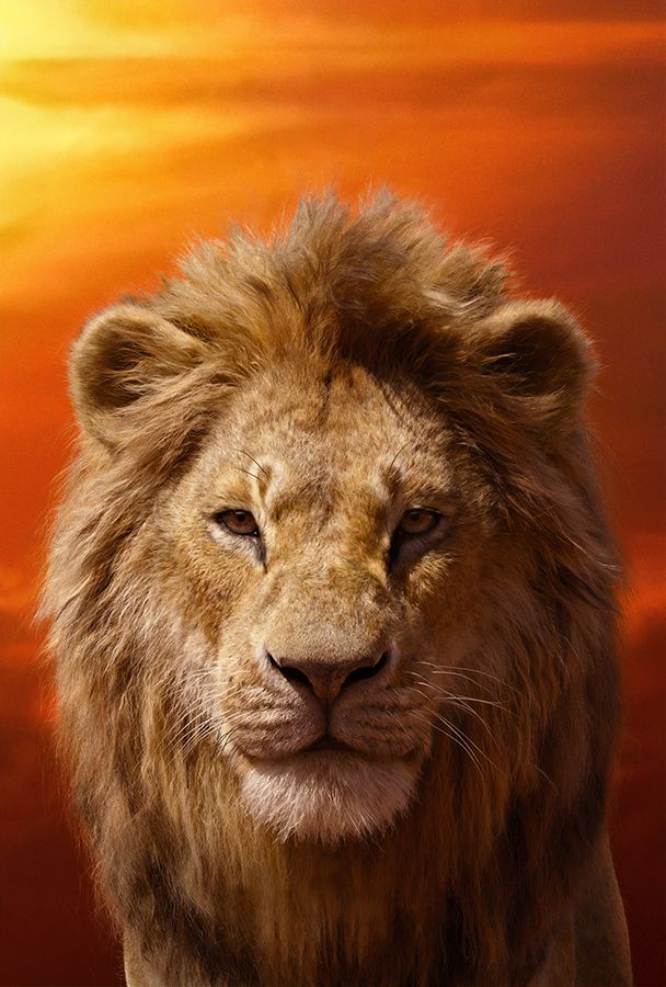 simba net worth
