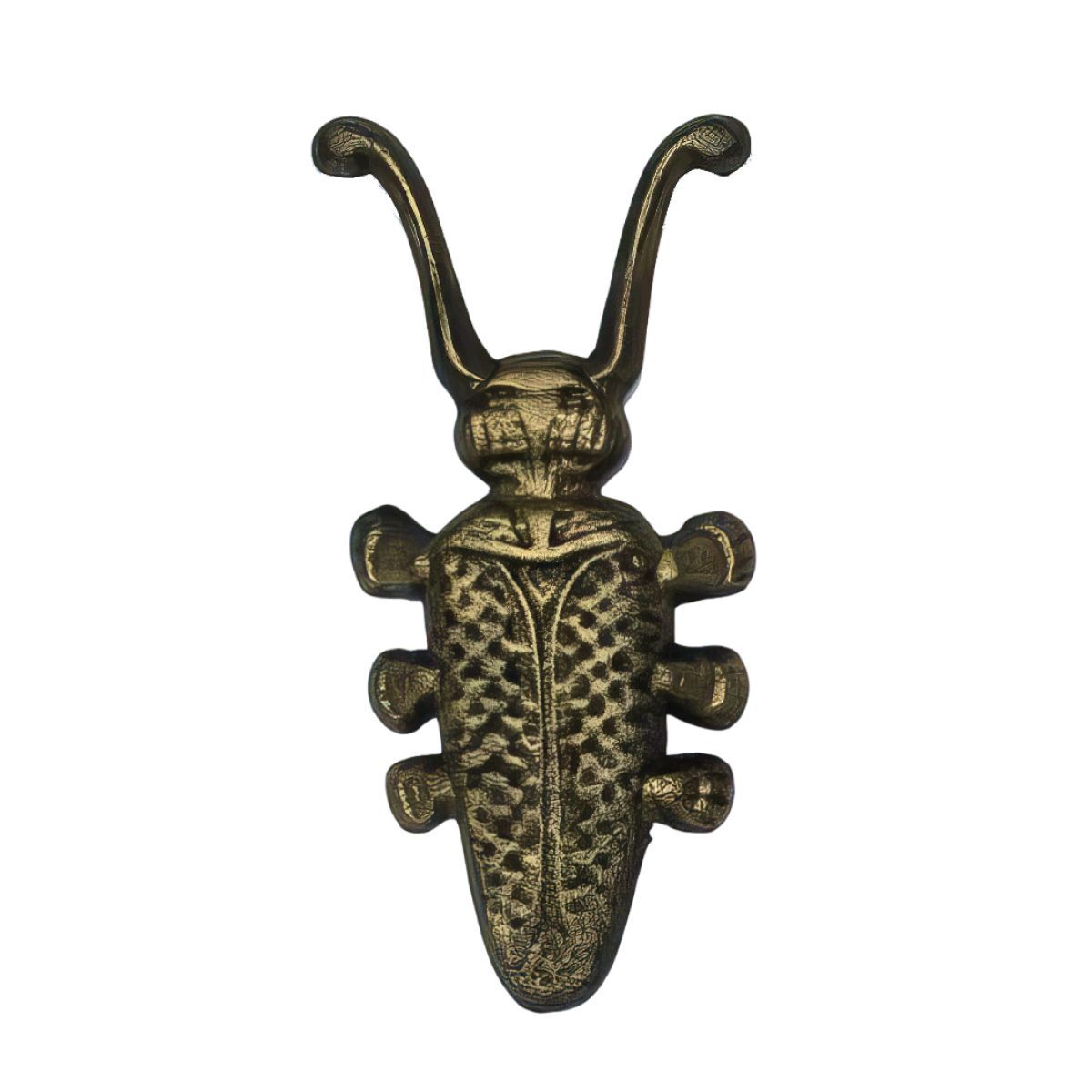 Жукскарабейдляснятияобуви