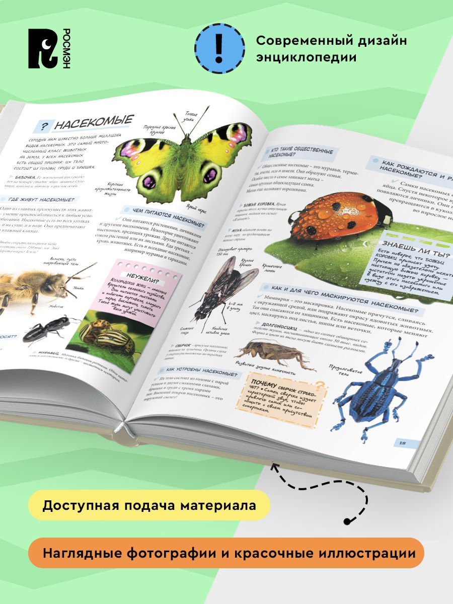 Большой подарок школьнику | A Great Gift for a Schoolchild - Ozon image 3