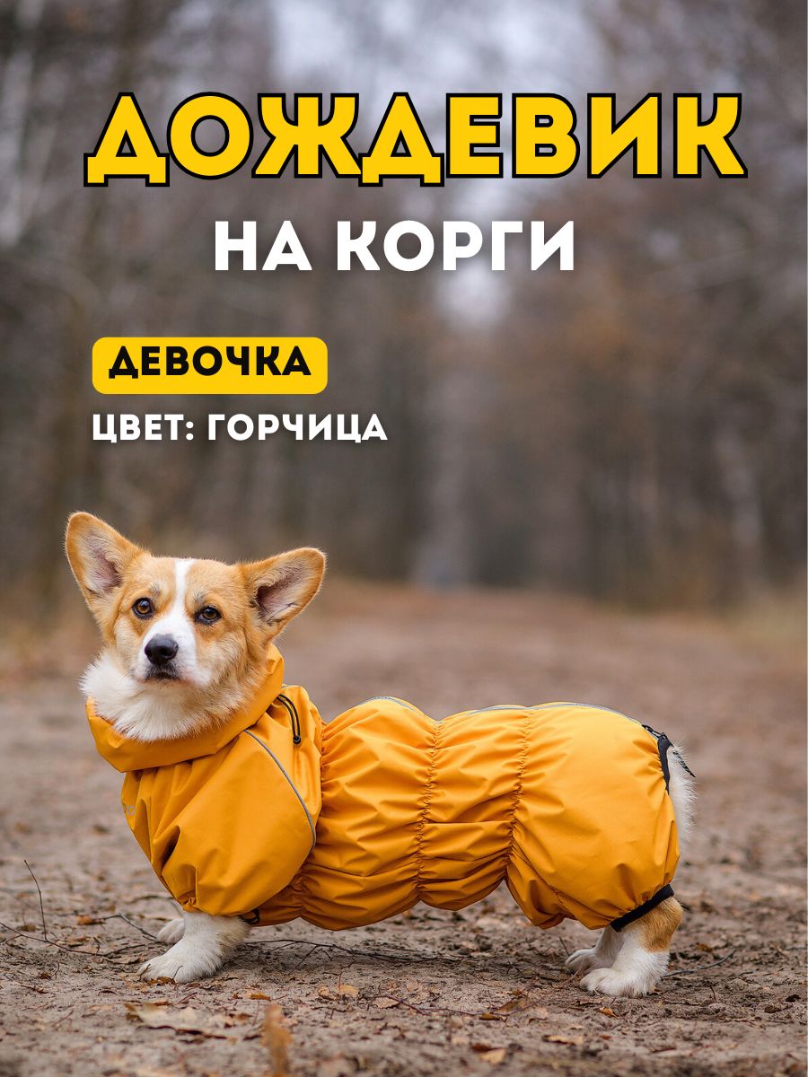 Сүт бездерінің жеке фотосы