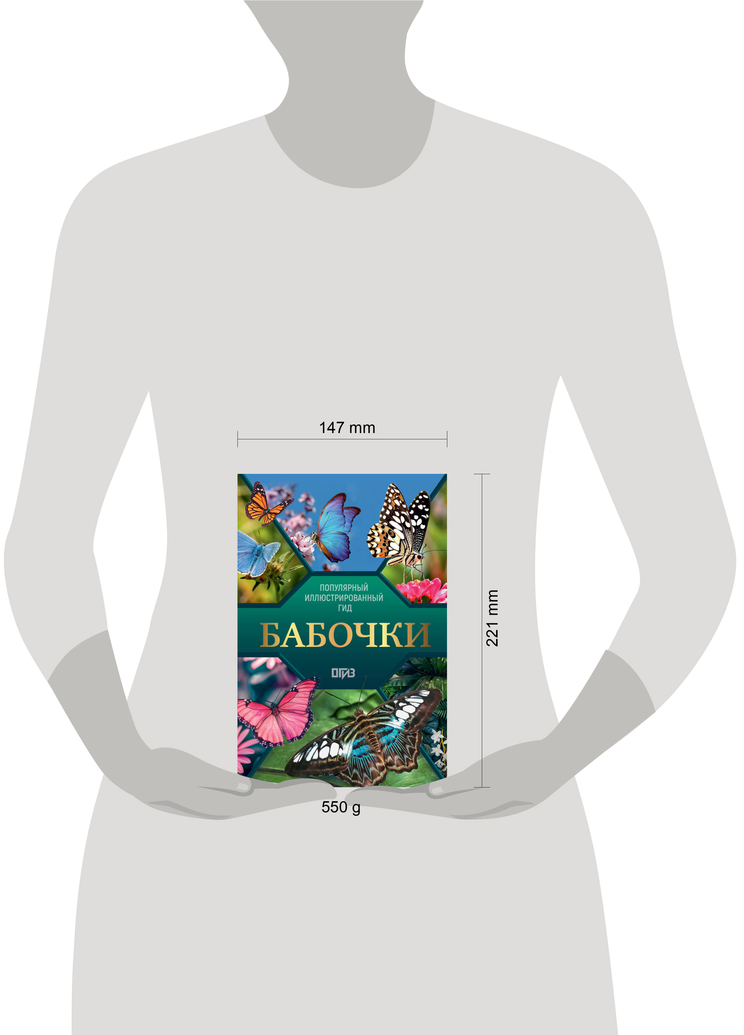 Бабочки. Иллюстрированный гид | Butterflies. Illustrated Guide - Ozon image 7