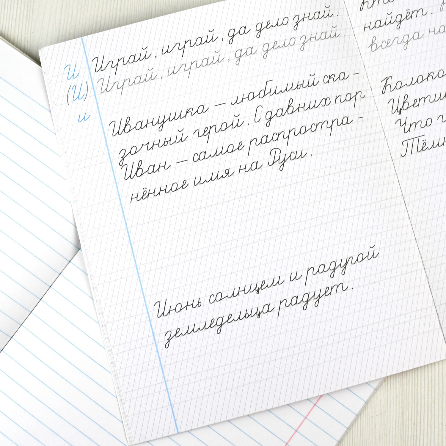 Прописи для дошкольников, тетрадь для детей. Серия "Тренажер по чистописанию". 165х210 мм, 16 л. | School VPR Practice Tests - Ozon image 3