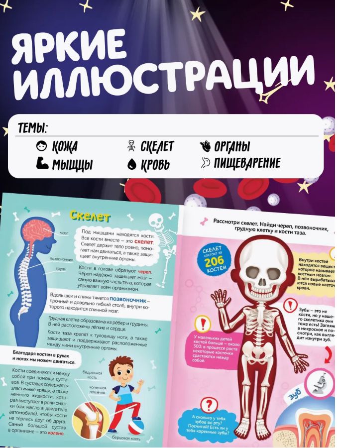 Книжка с фонариком, Буква-Ленд, "Тело человека", книги для детей 3+ | Bukva-Lend Cardboard Flashlight Book for Toddlers - Ozon image 4