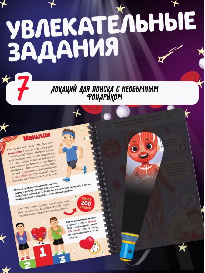 Книжка с фонариком, Буква-Ленд, "Тело человека", книги для детей 3+ | Bukva-Lend Cardboard Flashlight Book for Toddlers - Ozon image 2