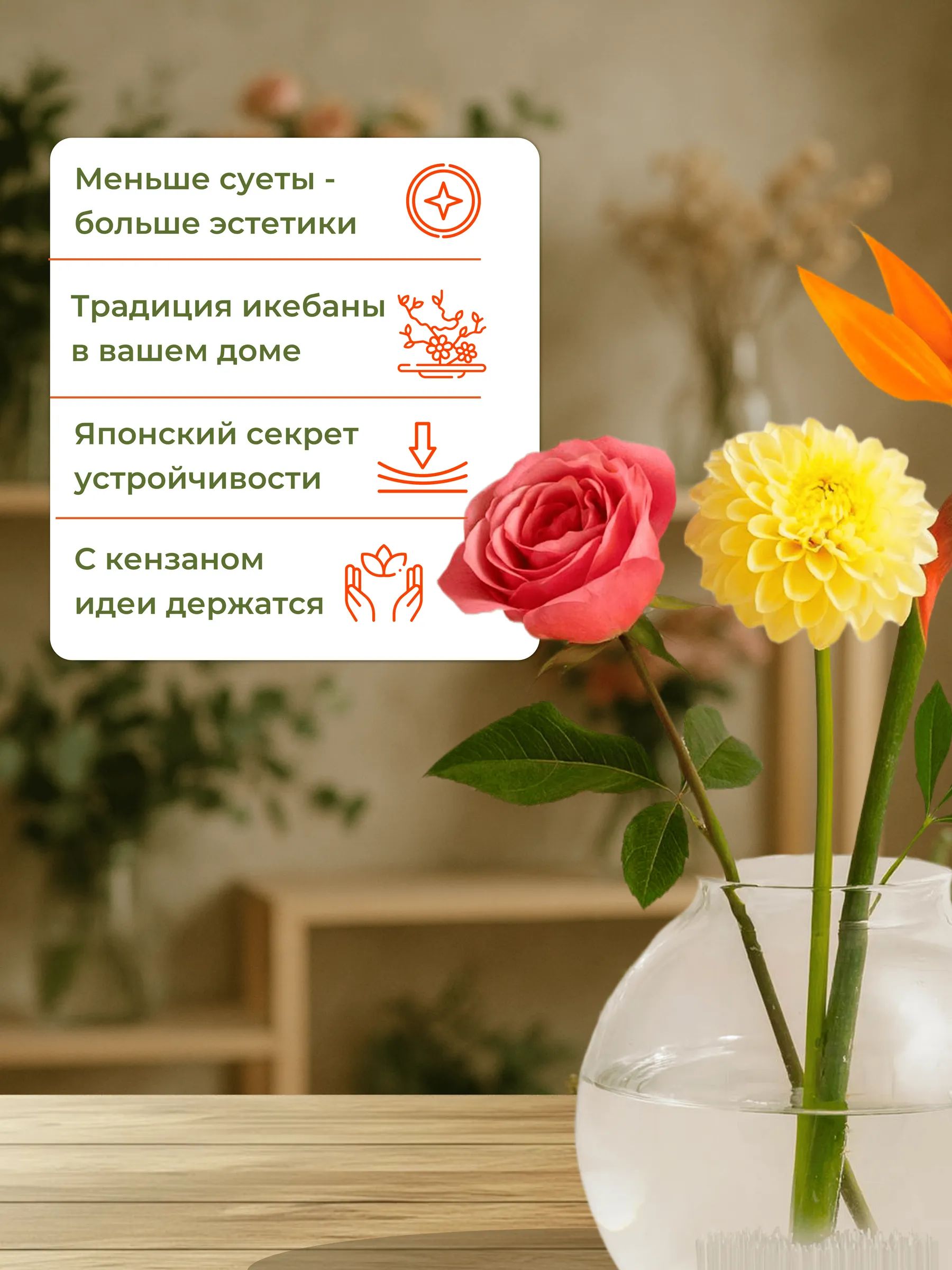 Кензан в упаковке 10 штук Прозрачный 9.3*6.8*3cm P.JS09 Китай