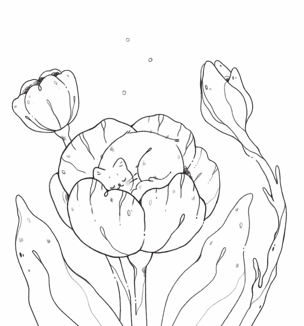 Мурчащие сны. Самая комфортная раскраска про котиков и цветы | Coloring Book - Ozon image 5