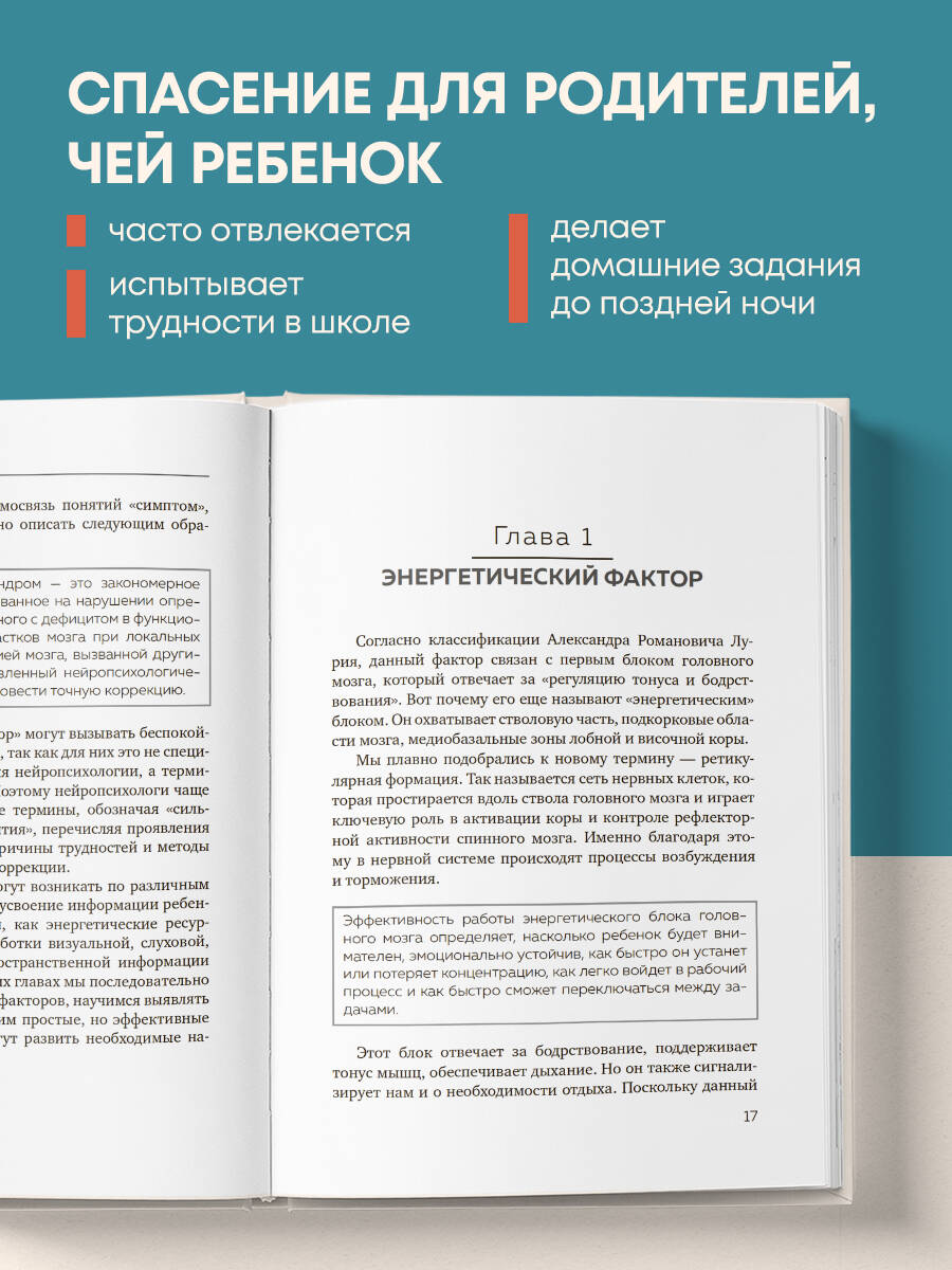 Мозг школьника. Советы и упражнения нейропсихолога для учебы без стресса и слез | The Schoolchild's Brain: Neuropsychologist's Tips and Exercises for Stress-Free Learning - Ozon image 1