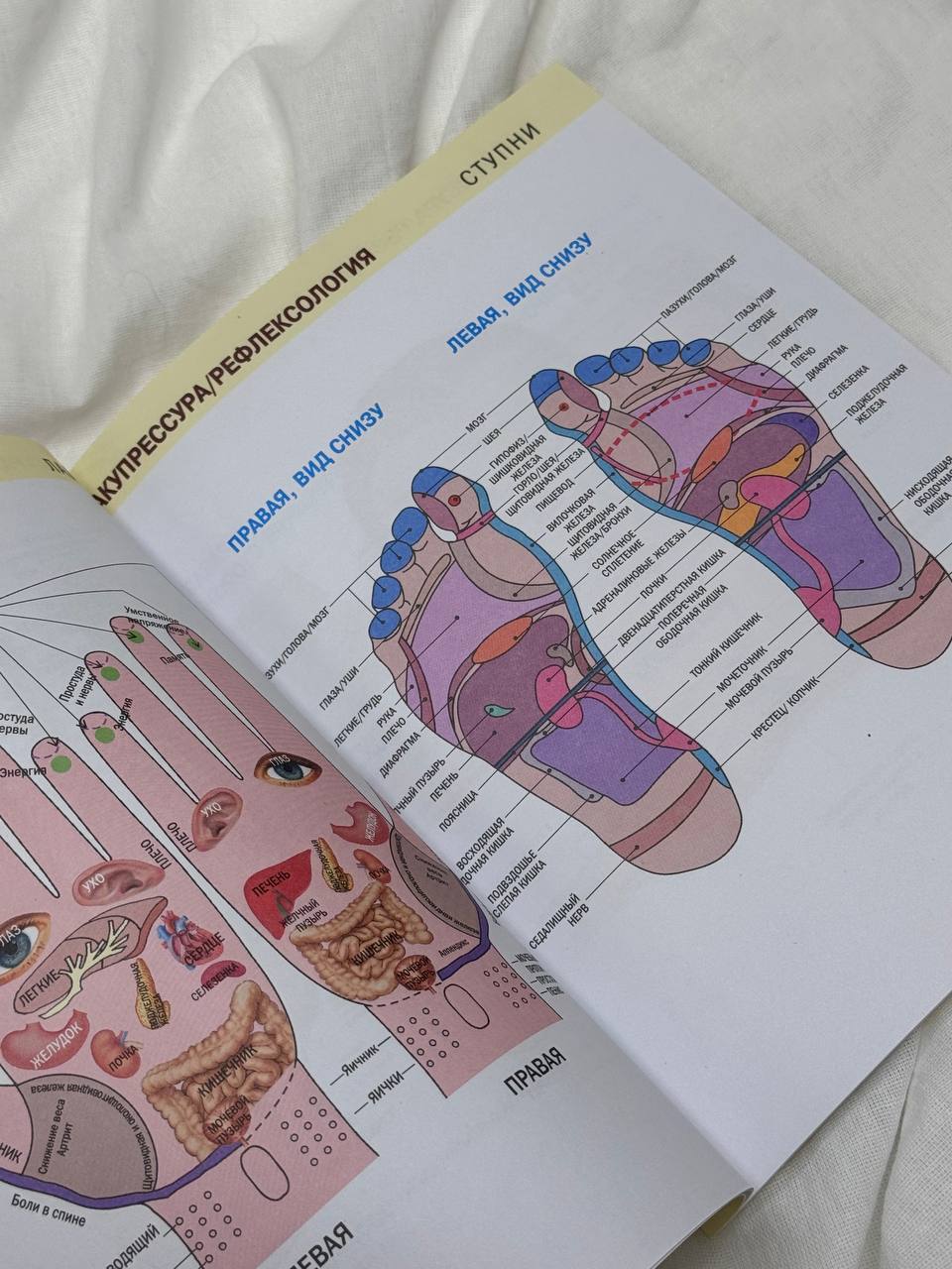Акупрессура | Colored Atlas of Acupressure - Ozon image 4