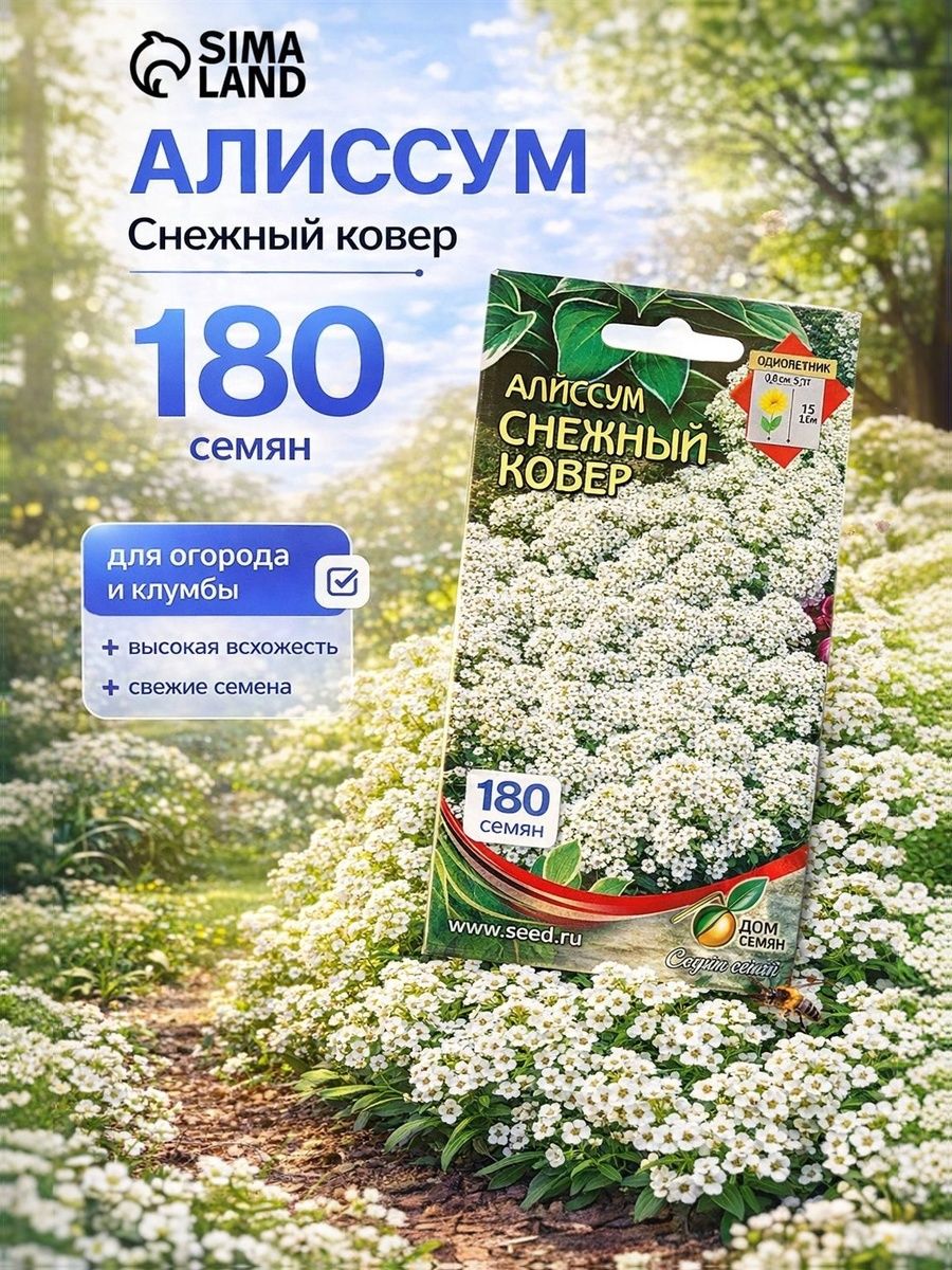 Семена Алиссум Снежный ковер, 180 семян, однолетние цветы