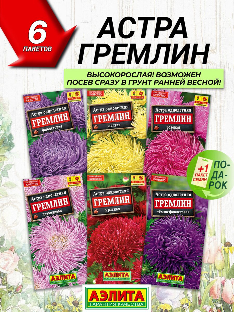 Набор семян цветов Астра Гремлин 6 сортов #1