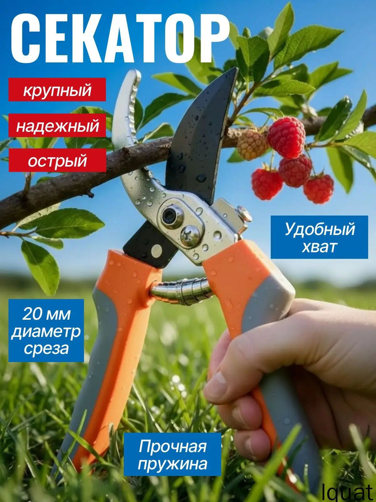 Секатор #1
