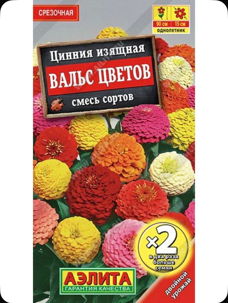 Аэлита Семена #1