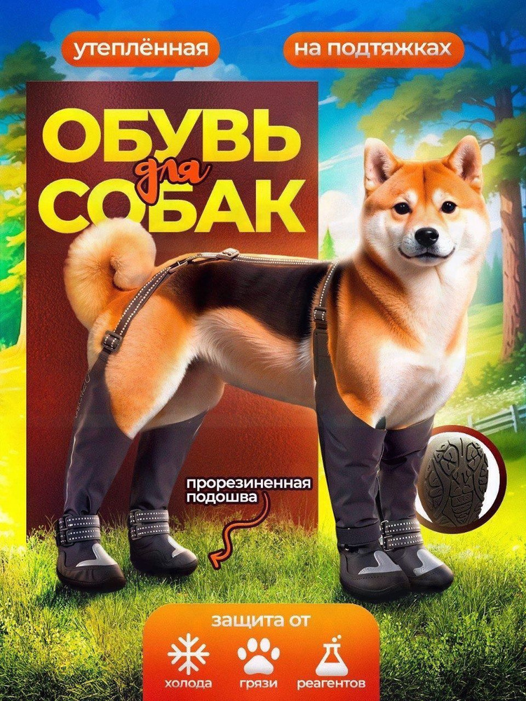 Обувь для собак #1