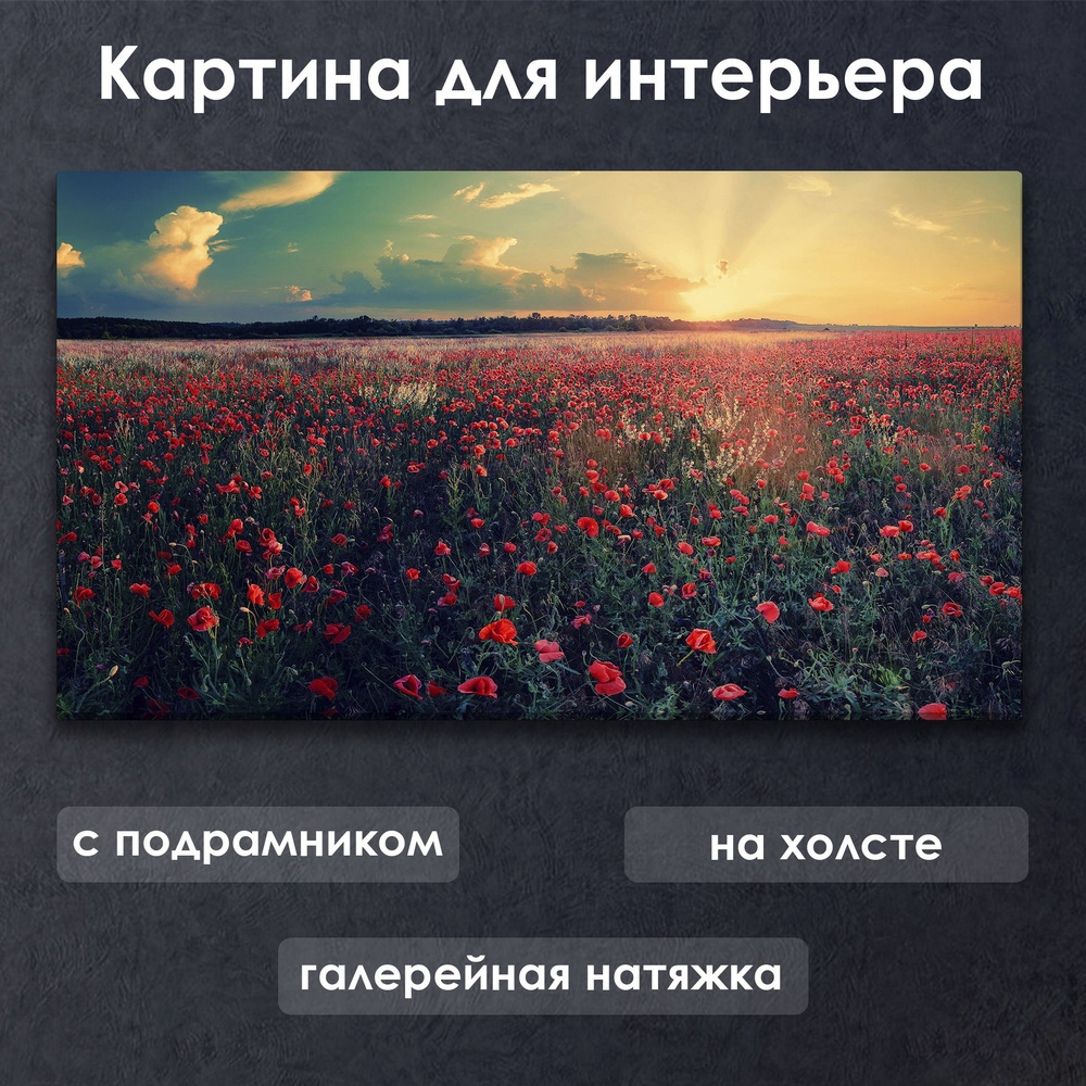 Картина для интерьера с подрамником на холсте на стену Пейзаж Маковое поле #1