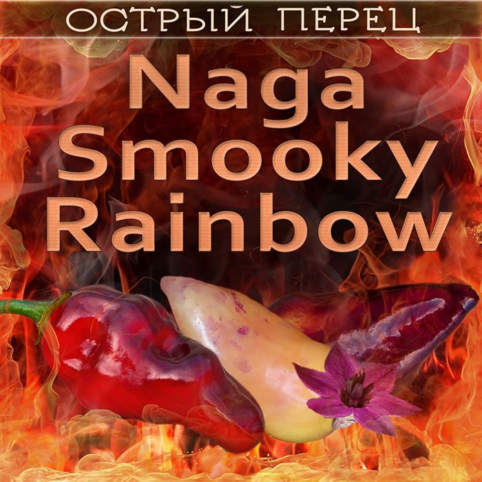 Острый перец Нага смоки Naga Smooky Rainbow семена 7 шт. +5 шт. другого сорта в подарок  #1