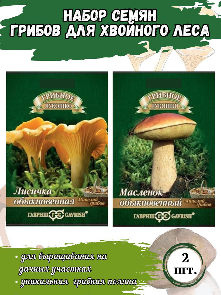 Набор семян Мицелий грибов: Лисичка обыкновенная, Масленок обыкновенный Набор: 2 пакетика  #1