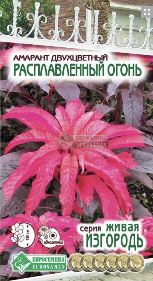 Амарант двухцветный Расплавленный Огонь, 1 пакет, семена 0,02 гр, Евросемена  #1