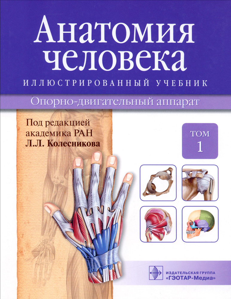 Анатомия человека. Иллюстрированный учебник. В 3-х томах. Том 1. Опорно ...