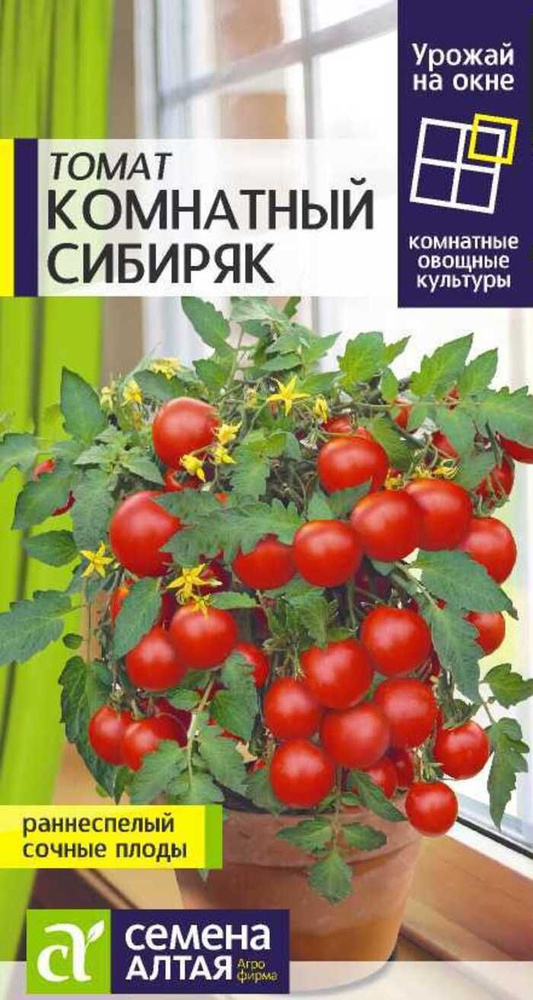 Семена Томат Комнатный Сибиряк 0,05г #1