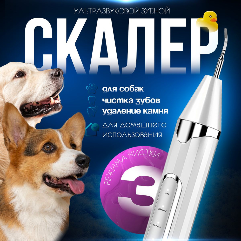 Скалер ультразвуковой электрический для удаления зубного камня у собак ...