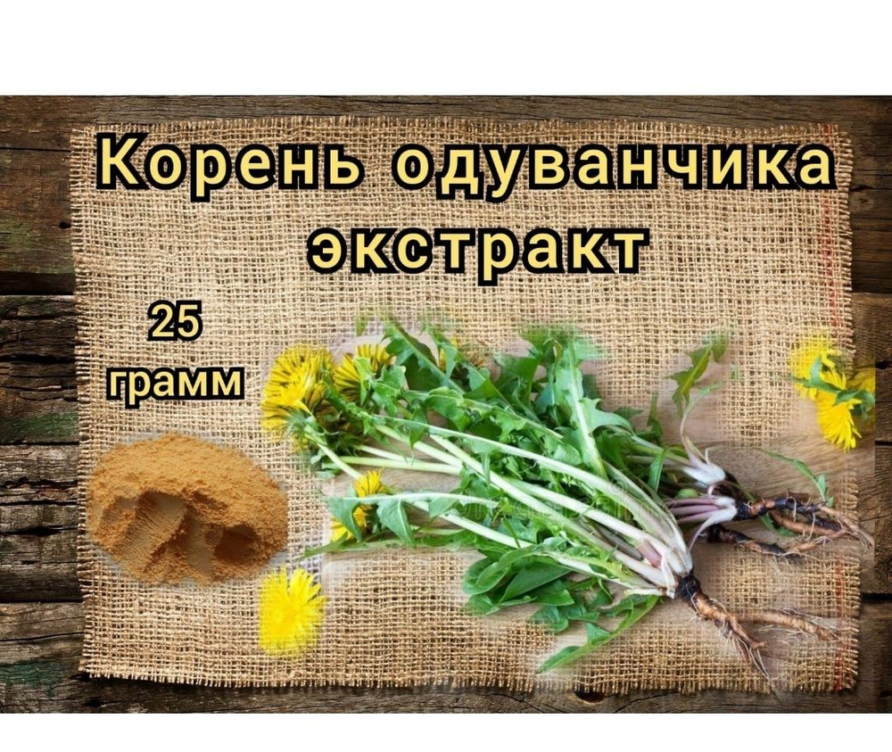 Экстракт корня одуванчика, натуральный экстракт, корень одуванчика, порошок  25 гр+50 мицелий ежевика