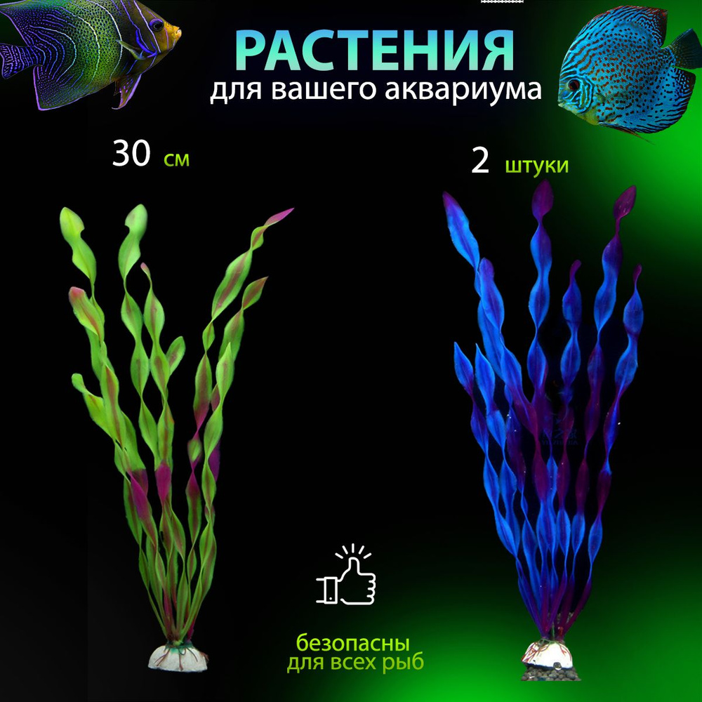 Аквариумные растения 30 см, водоросли 2 штуки #1