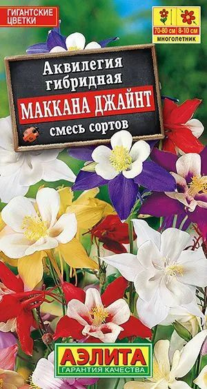 Семена Аквилегия Маккана Джайнт, смесь сортов (0,1 г) - Агрофирма Аэлита  #1