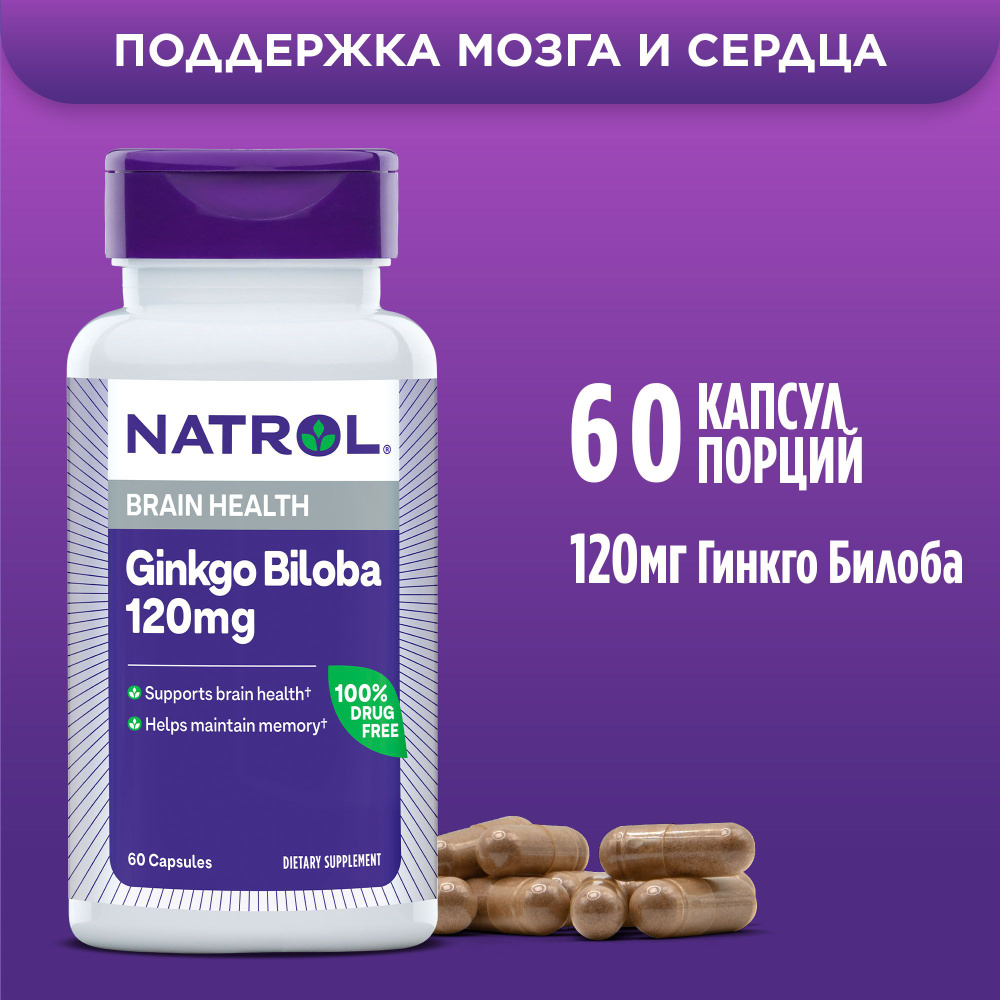 Бад, витамины, Гинкго билоба капсулы Натрол, Ginkgo Biloba 120mg, для  мозга, для памяти, концентрация, 60 капс - купить с доставкой по выгодным  ценам в интернет-магазине OZON (171499422)