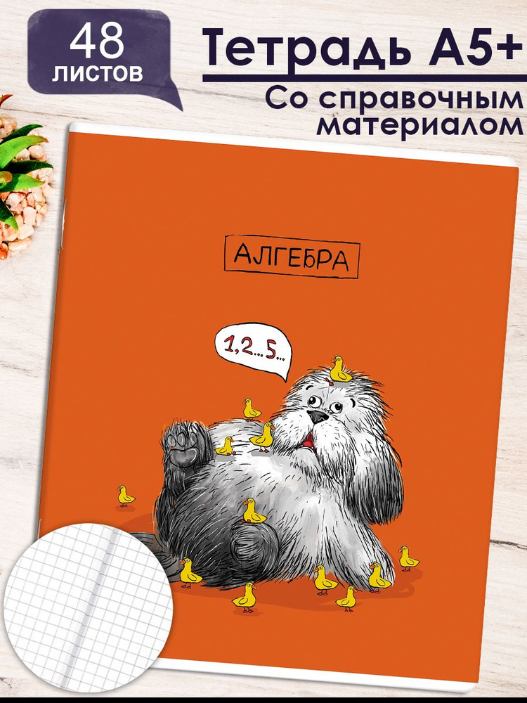 Тетрадь предметная "ПЁС УЧЁНЫЙ" АЛГЕБРА 48л. А5+ мягкий переплёт (2 скобы) клетка  #1