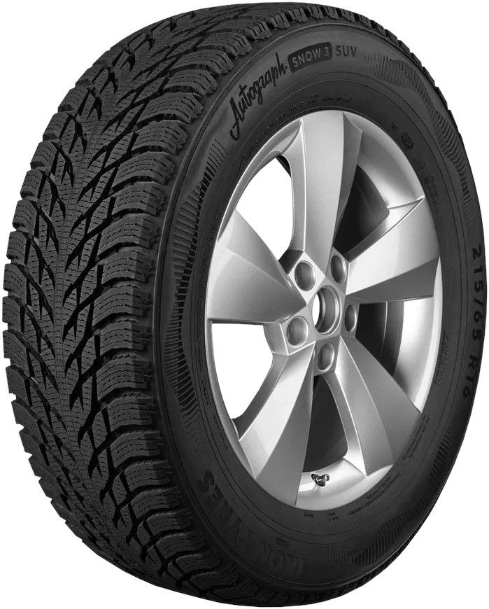 Ikon Tyres Autograph Snow 3 Шины  зимние 195/65  R15 95R Нешипованные #1