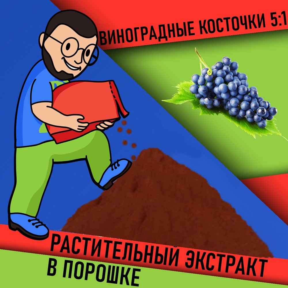 Экстракт Виноградных косточек 5:1 в порошке 35г / Grape Seed Extract применяется для кожи и лица, имеет #1