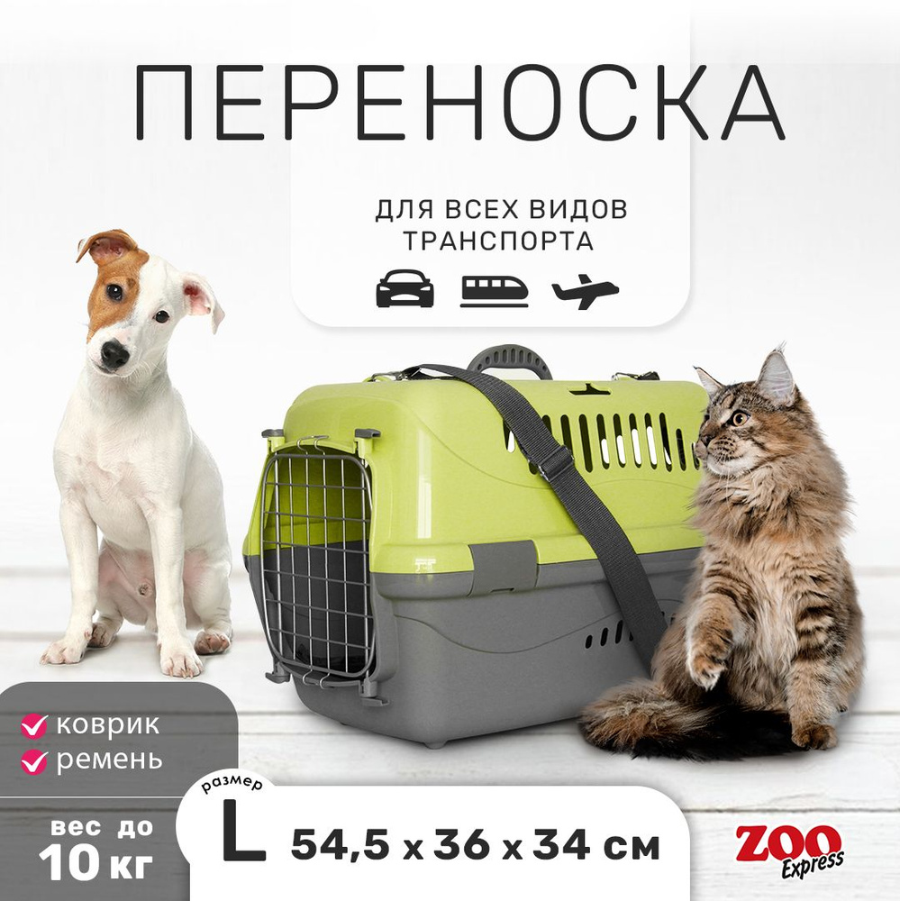 Клиппер-переноска для кошек и собак ZOOexpress Турне 54,5х36х34 см (L), дверца с фиксацией, КОВРИК + #1