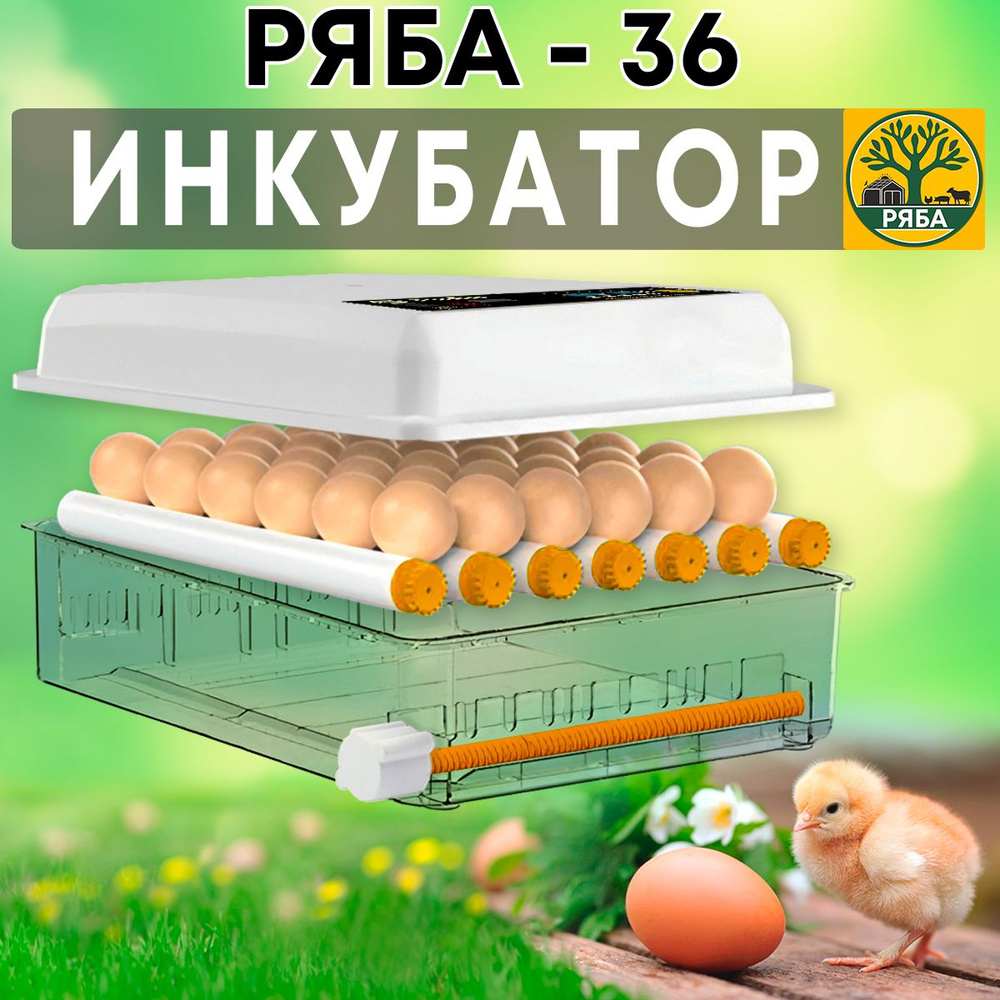 Инкубатор своими руками