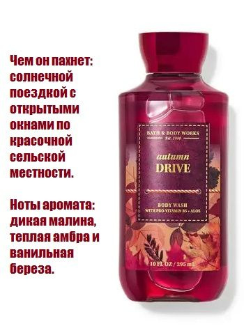 Bath and Body Works гель для душа увлажняющий Autumn Drive купить