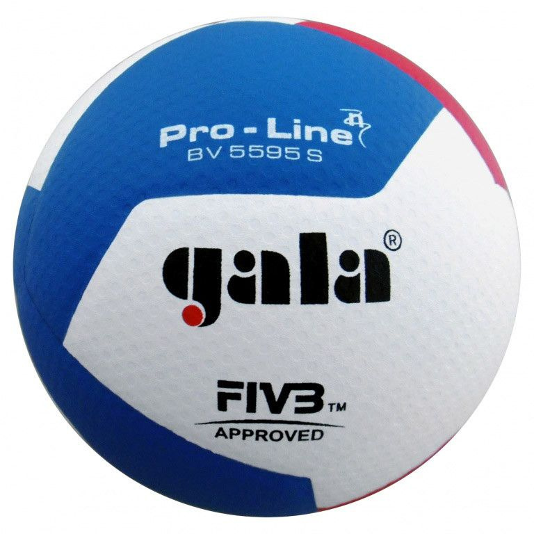 Мяч волейбольный GALA Pro-Line 12 FIVB, BV5595S, р. 5 #1