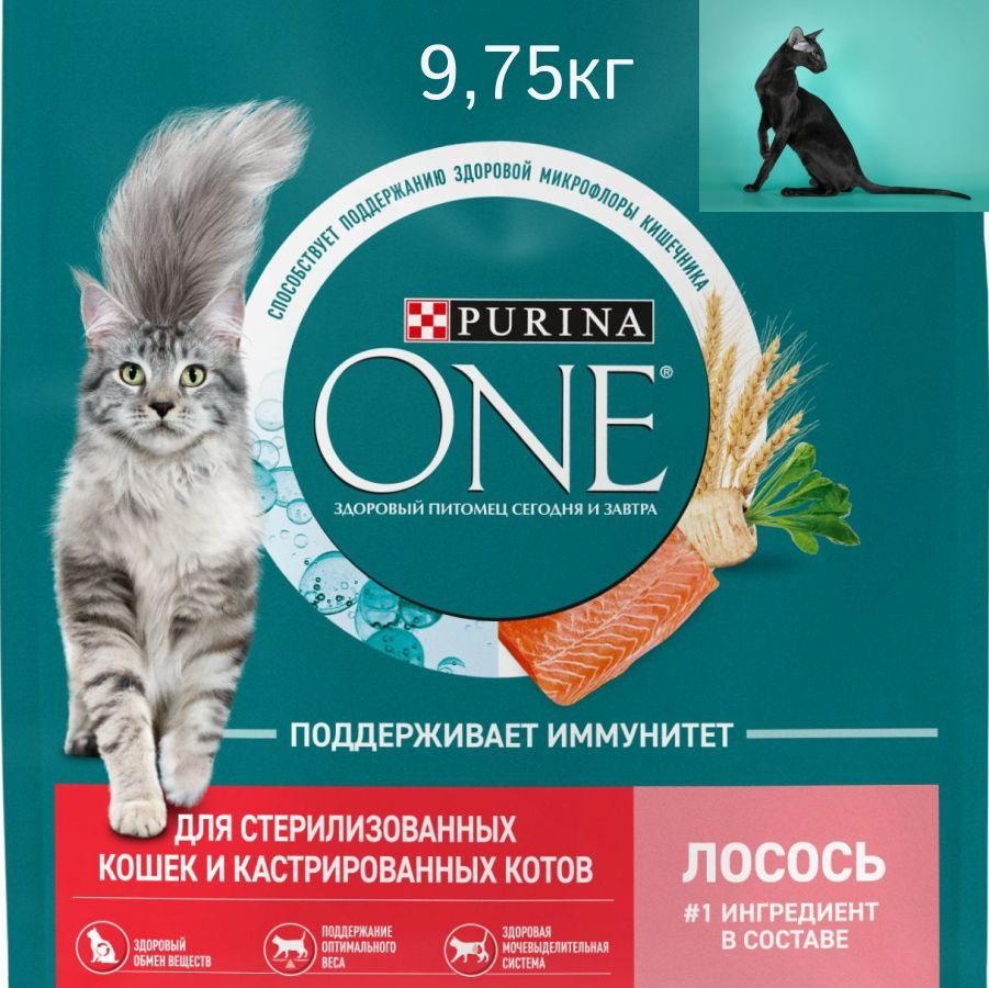 Сухой корм для кошек Purina ONE для стерилизованных, с лососем и пшеницей, 9,75 кг  #1