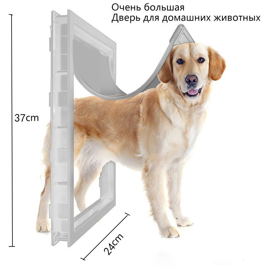 Большая дверь для собак, лаз для собак, свободный доступ в обоих направлениях.  #1