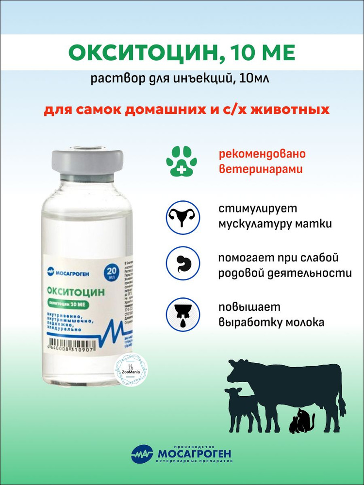 Эшлин Брук порно 2011