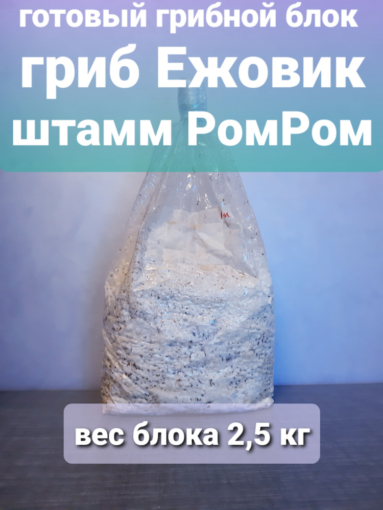Готовый грибной блок Ежовик 2,5 кг, мицелий зерновой #1