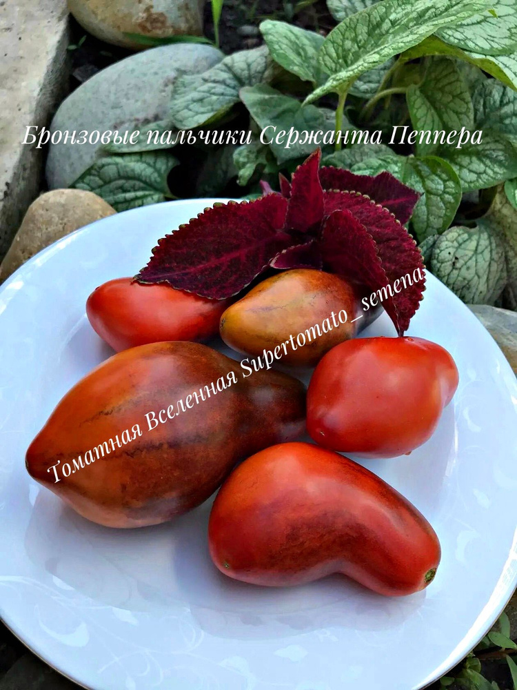 Бронзовые пальчики Сержанта Пеппера. Семена томатов. 10 шт #1