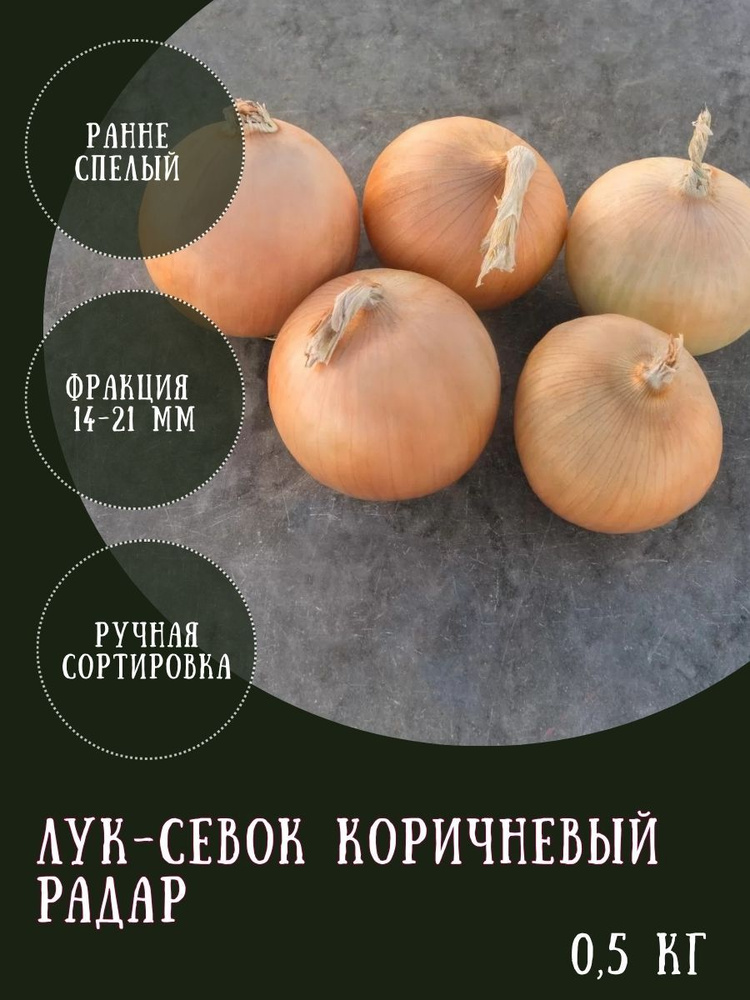 Лук-севок коричневый Радар, 0,5 кг, на посадку #1