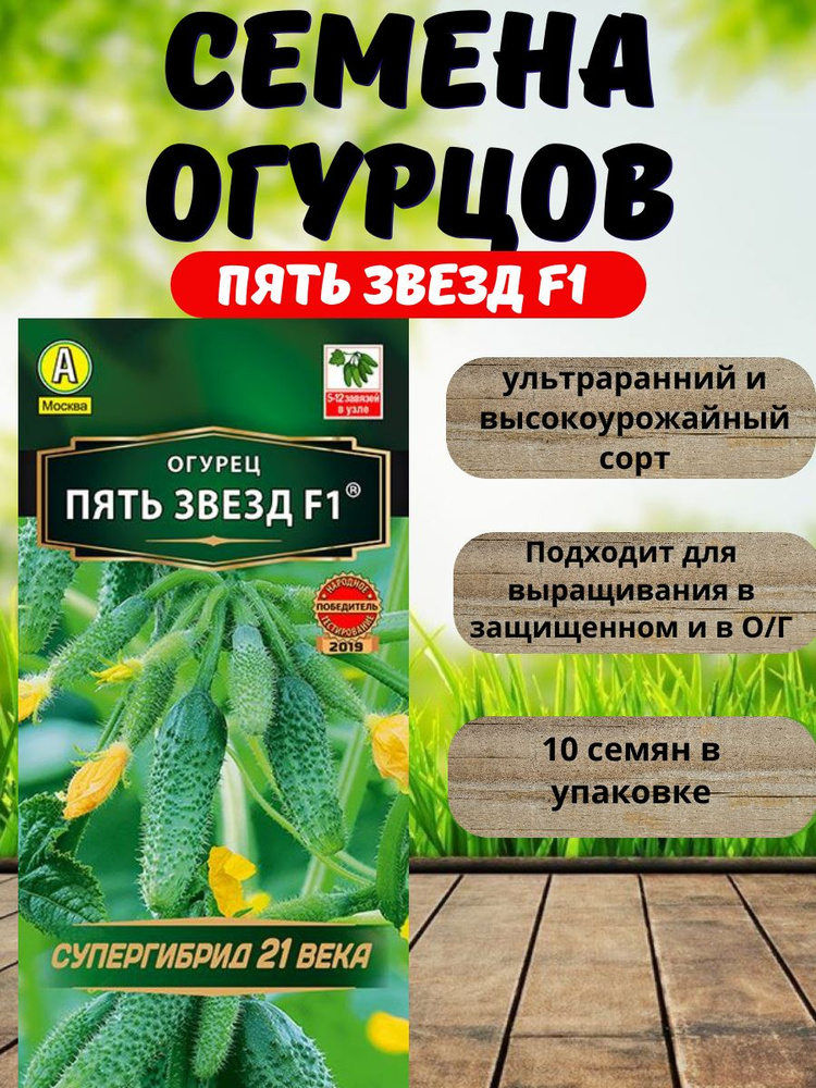 Семена огурцов - Пять звезд #1