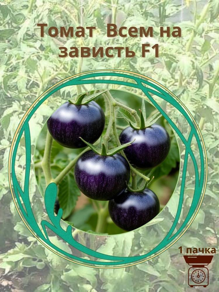 Томат "Всем на зависть F1" 10 шт. семян #1