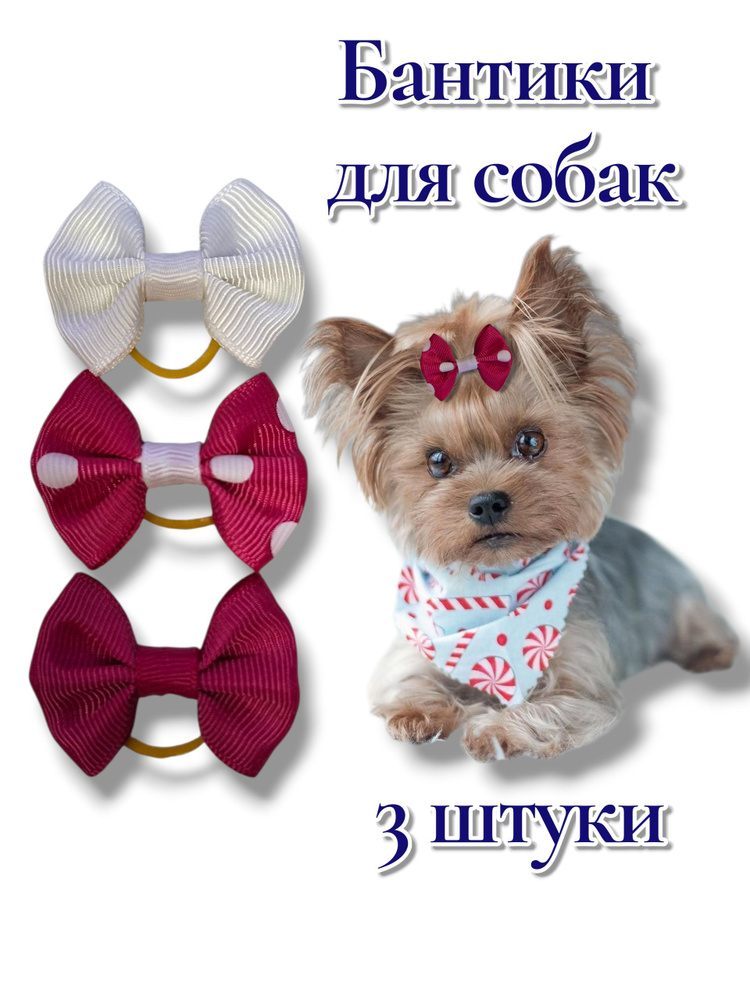 Бантики для собак #1