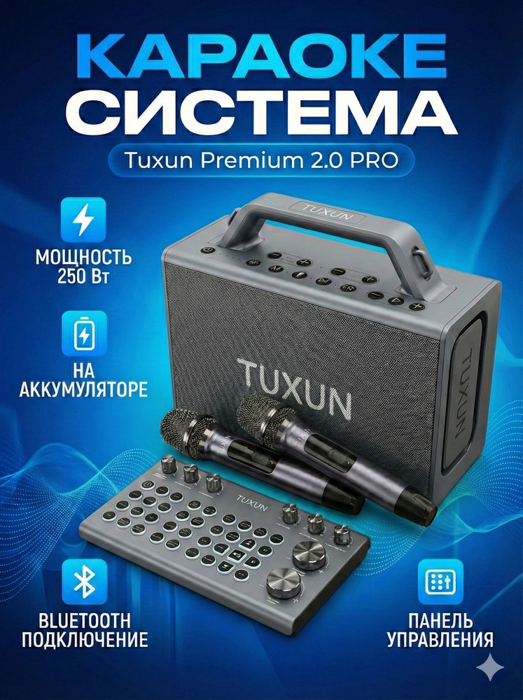 Караоке система, беспроводная блютуз колонка мощность 250 Вт Tuxun Premium 2.0 #1