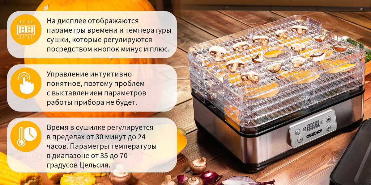 Текстовое описание изображения