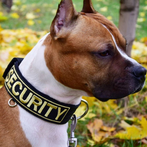 Keksa ayollar porno foto galereyasi Margarita Sukhankina yalangoch