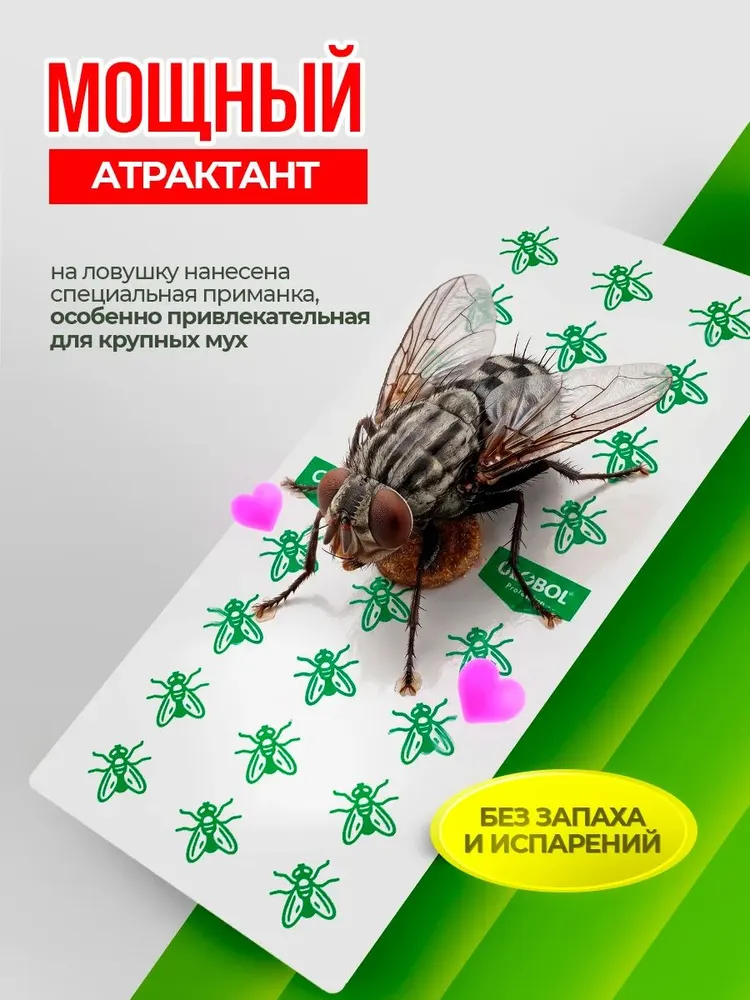 Фото товара 4