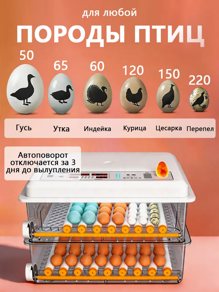 120 яиц, BEVEACE Автоматический интеллектуальный домашний инкубатор для яиц, Регулирование температуры и влажности,овоскопом, автоповоротом, AC220V, один источник питания, вариант, фото 3