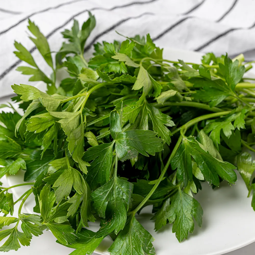 Петрушка 50 г, 50 г, фото 4